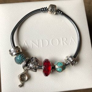 Pandora Oxidized Bracelet with 7 Pandora Charms